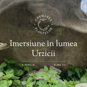 Chemarea Urzicii